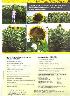Girassol forrajero rumbosol 91